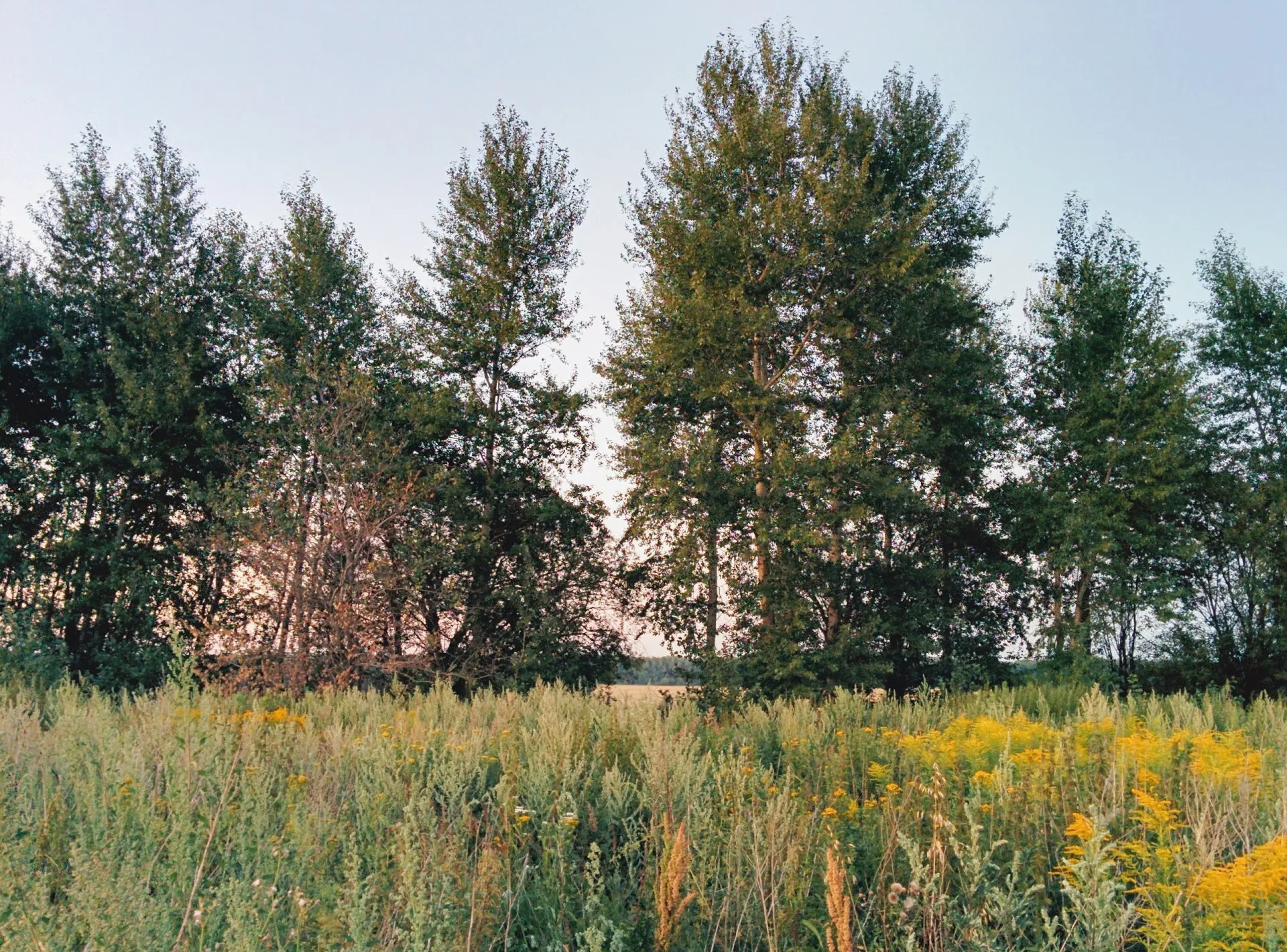 Первая остановка в пути